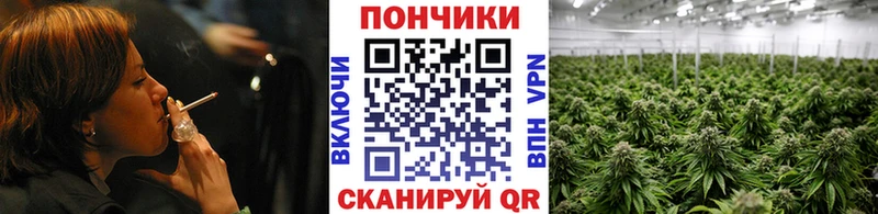 Бошки марихуана планчик  где найти наркотики  Иноземцево 